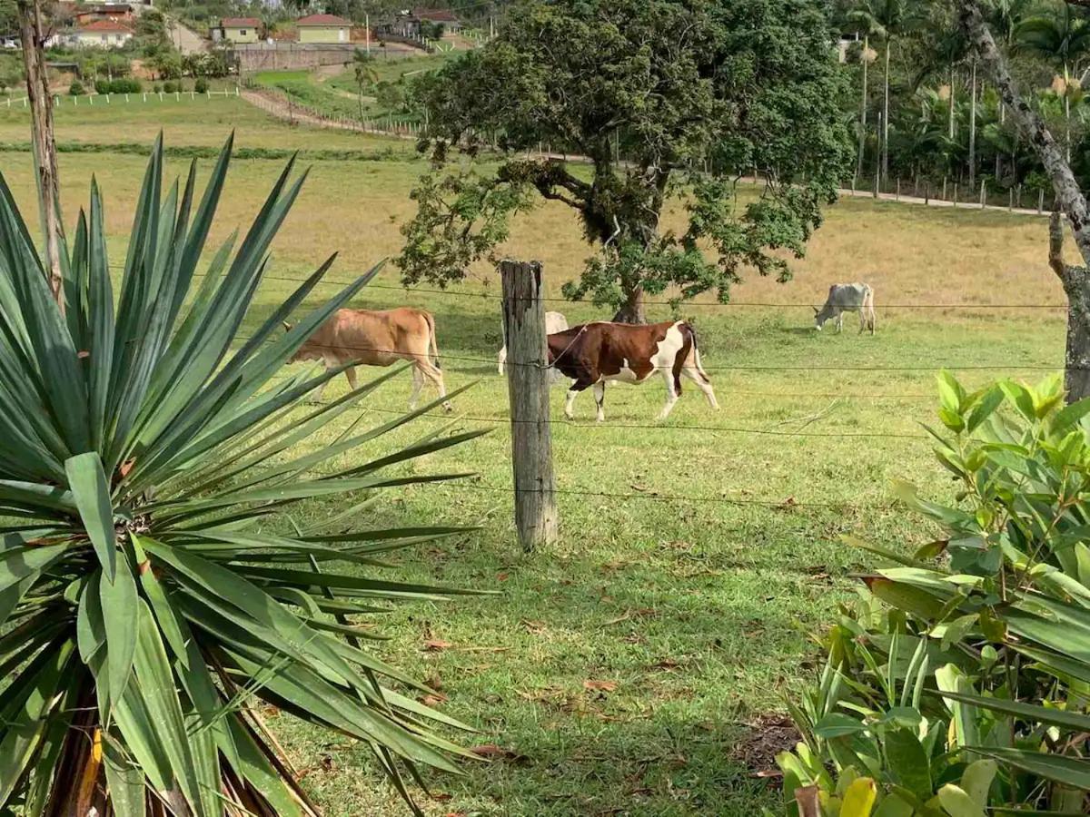 Sitio Canta Galo Governador Celso Ramos Zewnętrze zdjęcie